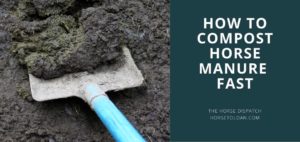 How to Compost horse manure fast