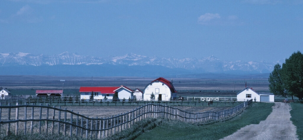 Where is Heartland Filmed  The Horse Dispatch